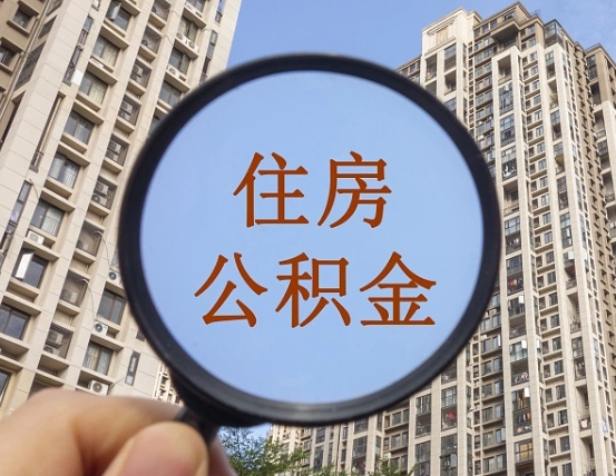 遵义退休后查不到公积金明细了吗（退休后公积金查询不到原因）